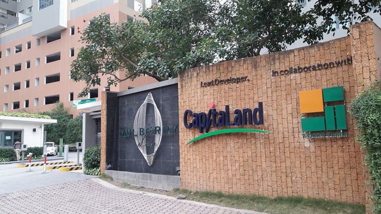 Nước sinh hoạt đen như nước cống, phí cao 'nghẹt thở', cư dân Mulberry Lane 'kêu cứu' ảnh 3