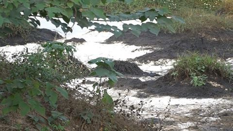 Khu đất hoang bốc mùi hóa chất 'tra tấn' người dân ảnh 1