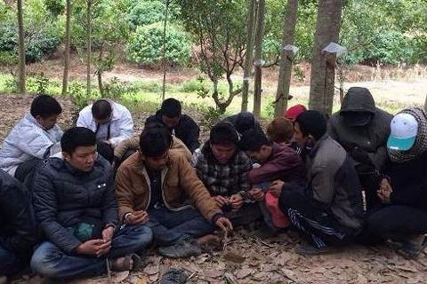 Triệt phá ổ bạc trong rừng vắng, thu giữ gần 300 triệu đồng ảnh 1