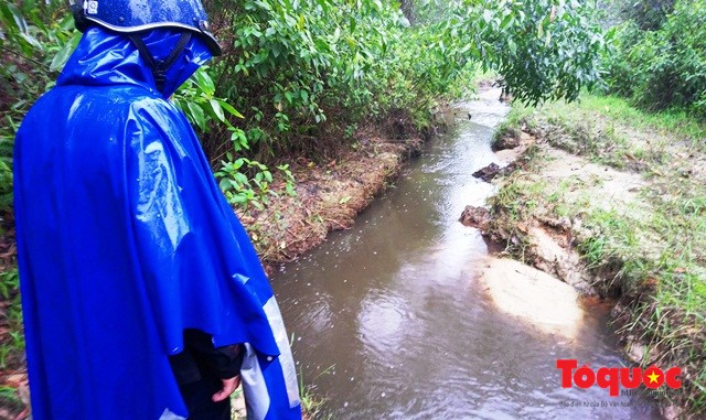 TT - Huế: Cá tự nhiên chết bốc mùi, dân lo ô nhiễm ảnh 2