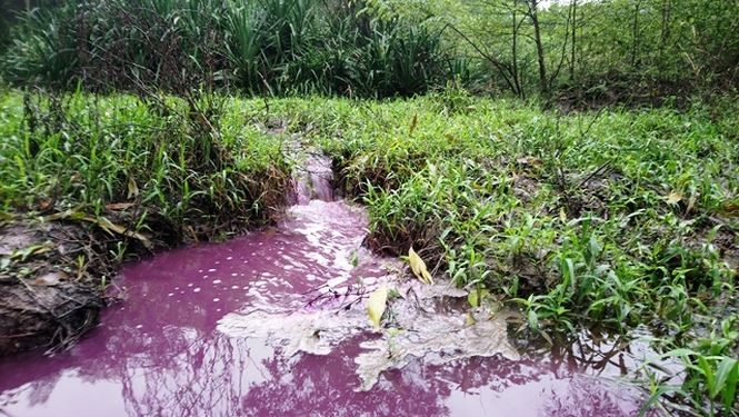 TT-Huế: 'Xanh mặt' với nước khe chuyển màu tím đỏ, nồng nặc mùi hôi bất thường ảnh 2