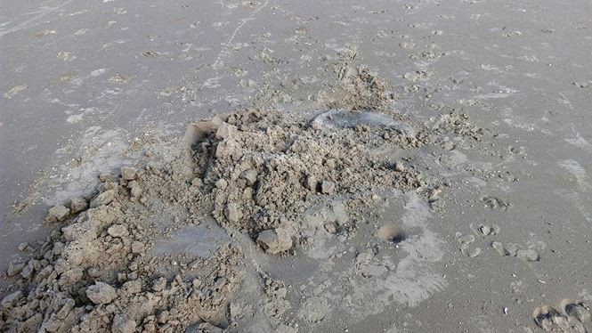 Nhiều túi đựng thịt thối dạt vào bờ biển Thừa Thiên Huế ảnh 3