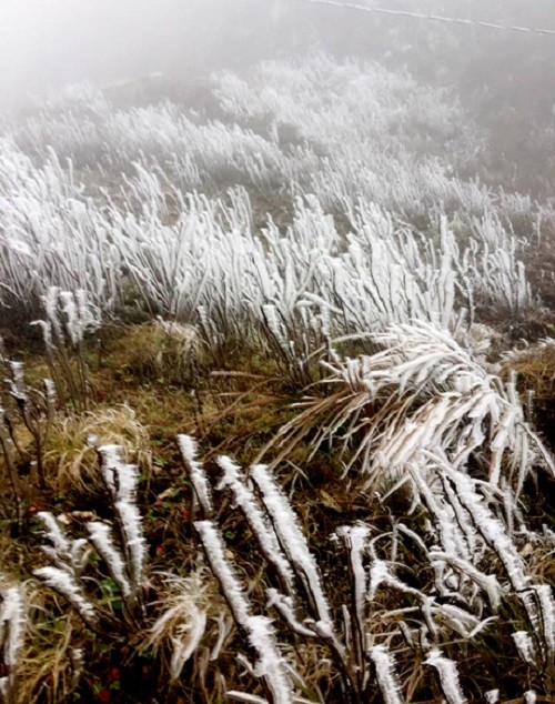 Mù Căng Chải xuất hiện băng tuyết ảnh 1