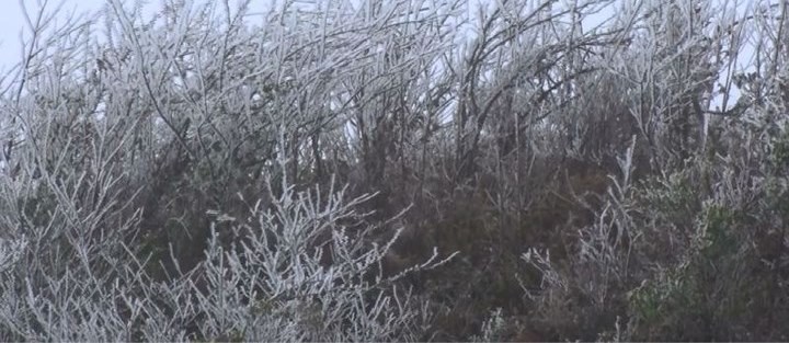 Mù Căng Chải xuất hiện băng tuyết ảnh 3