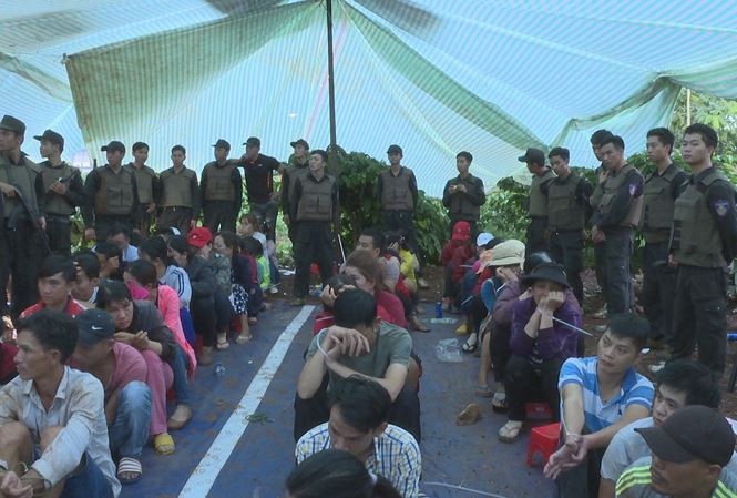 Truy tố 45 đối tượng đánh bạc trong vườn cà phê ảnh 1