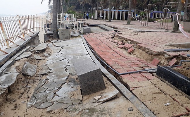 Bãi biển Đà Nẵng bị sạt lở nghiêm trọng ảnh 1