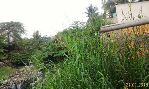 Người dân gần cầu Mỹ Thuận ở Sài Gòn kêu cứu vì kênh ngập ngụa rác ảnh 2