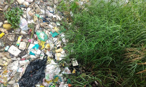 Người dân gần cầu Mỹ Thuận ở Sài Gòn kêu cứu vì kênh ngập ngụa rác ảnh 3