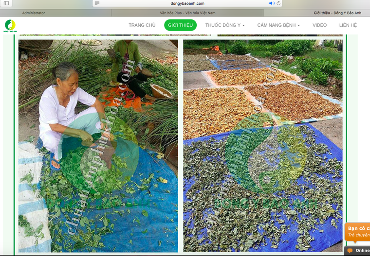 Dược phẩm không phép: Lợi nhuận ‘khủng’, hậu quả khôn lường ảnh 4