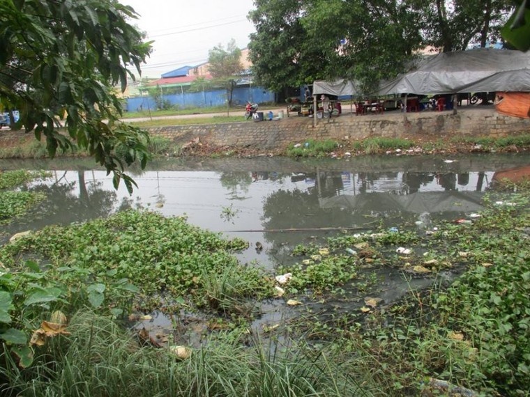 Bình Định: Nhiều năm sống chung với mương thoát nước bị ô nhiễm ảnh 1