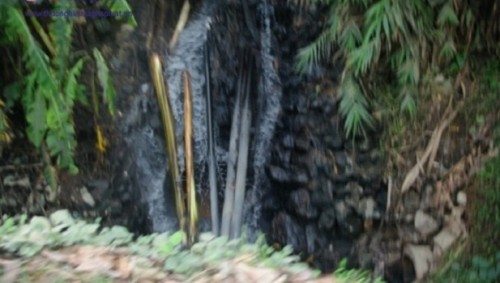 Yên Bái: Nhà máy ngang nhiên xả thải trực tiếp ra môi trường ảnh 2