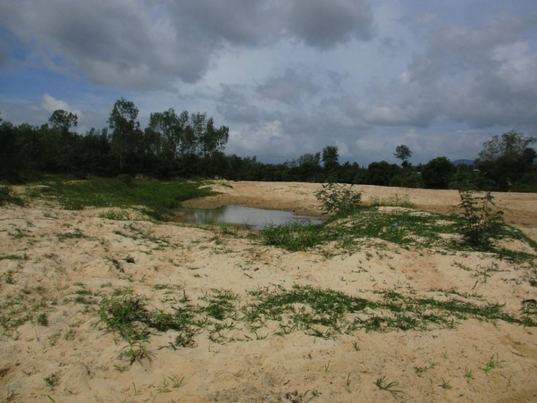 Bình Định: Sông La Vỹ bị cày xới bởi 'cát tặc' ảnh 1