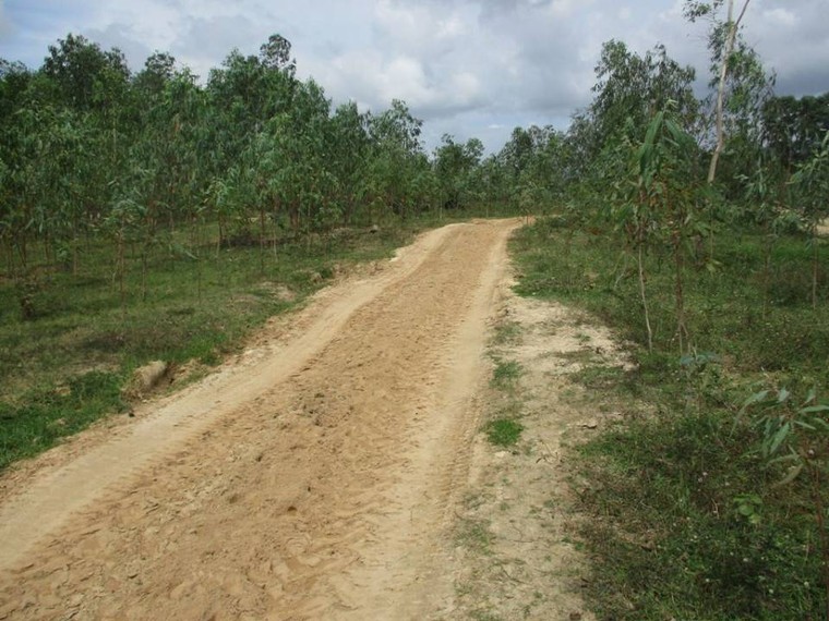 Bình Định: Sông La Vỹ bị cày xới bởi 'cát tặc' ảnh 2