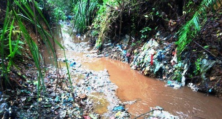 Thừa Thiên - Huế: Suối Cầu Đôi đổi màu đen bất thường, do đâu? ảnh 3