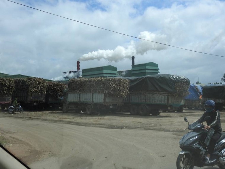 Đắk Lắk: Nhà máy mía đường 333 chạy thử 'chui' gây ô nhiễm ảnh 2