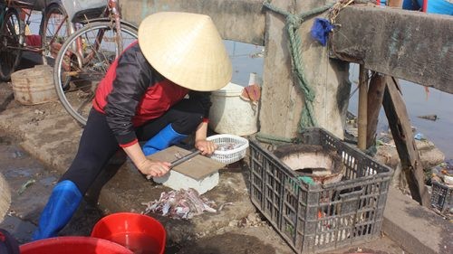 Quảng Trạch (Quảng Bình) rác thải chợ Cảnh Dương gây ô nhiễm môi trường ảnh 1