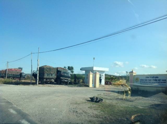 Cty CP Nông sản thực phẩm Việt Nam: Tiềm ẩn nguy cơ vỡ hồ chứa chất thải Nhà máy tinh bột sắn ảnh 1