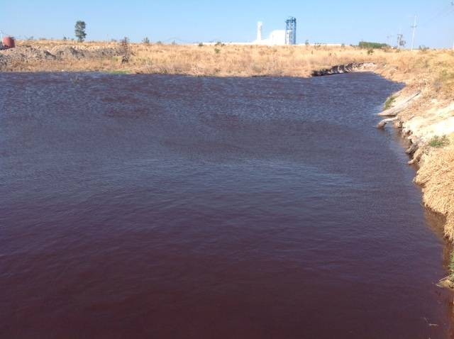 Cty CP Nông sản thực phẩm Việt Nam: Tiềm ẩn nguy cơ vỡ hồ chứa chất thải Nhà máy tinh bột sắn ảnh 2