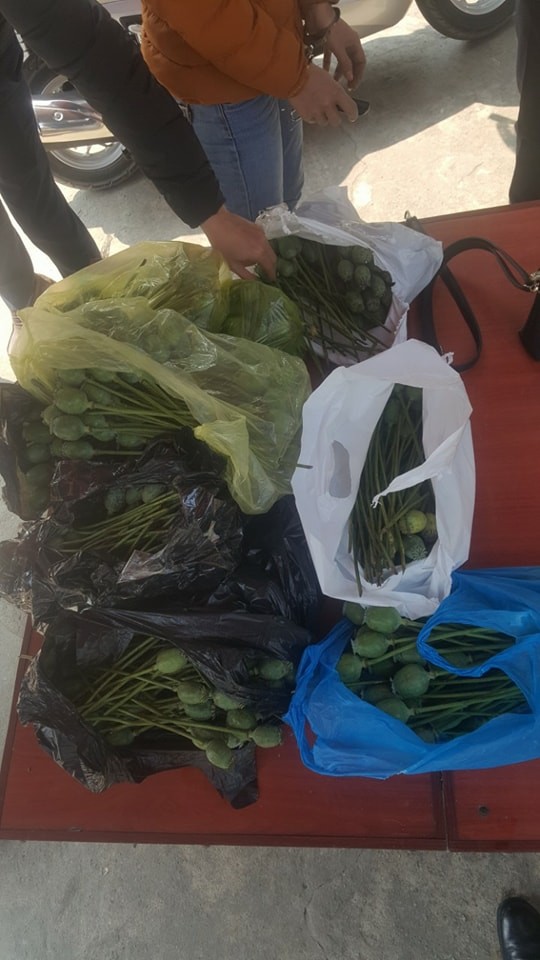 Hà Tĩnh: Bắt giữ 'kiều nữ' 8X buôn bán thuốc phiện qua facebook ảnh 1