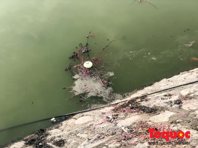 Hà Nội: Hồ Văn Quán ô nhiễm nghiêm trọng những ngày giáp Tết ảnh 8