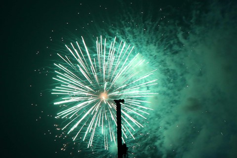 Pháo hoa bừng sáng, chục ngàn người ở TP.HCM chào Xuân Mậu Tuất 2018 ảnh 13