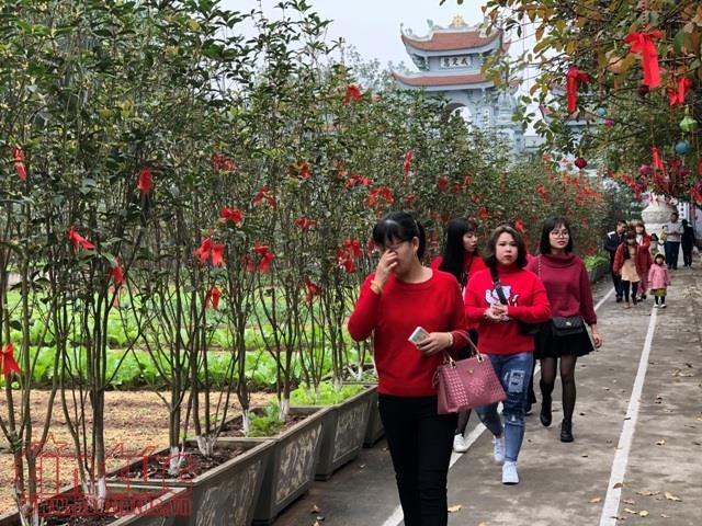 Đầu xuân, đường phố Hà Nội vắng vẻ, đình chùa đông đúc ảnh 3