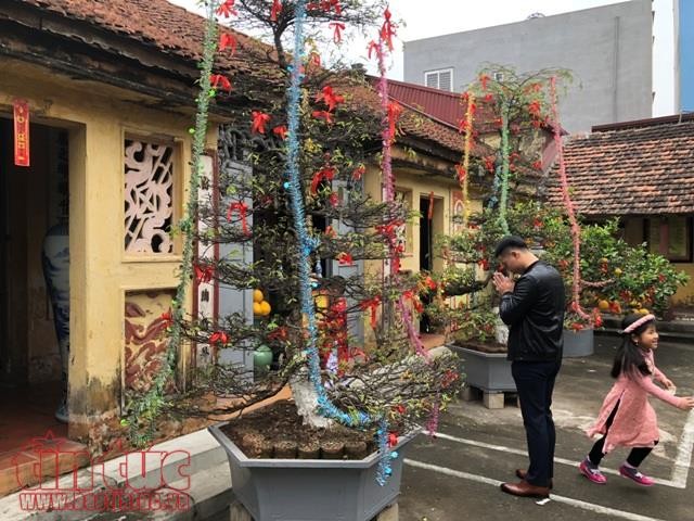 Đầu xuân, đường phố Hà Nội vắng vẻ, đình chùa đông đúc ảnh 5