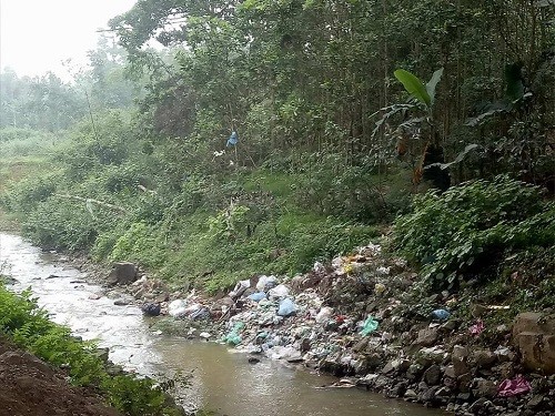 Rác thải 'bức tử' sông Ngàn Phố sau Tết Nguyên đán ảnh 2