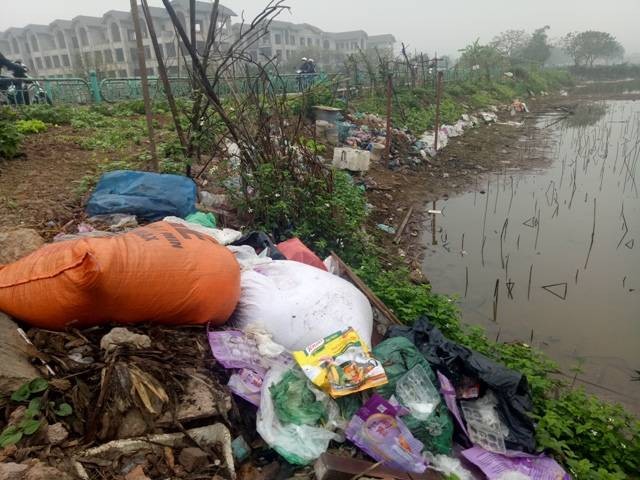 Hà Nội: Đường vào thung lũng hoa Hồ Tây ngập trong rác ảnh 3