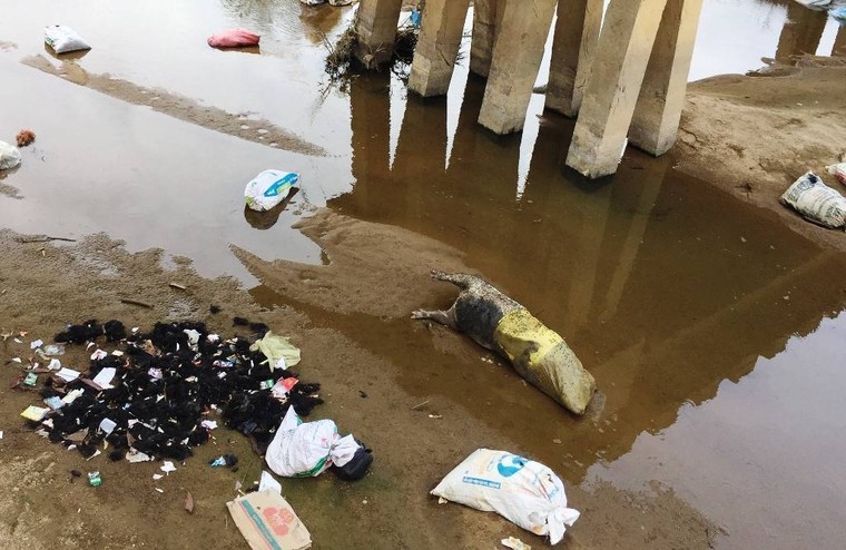 Bình Định: Rác thải 'bức tử' sông An Lão ảnh 2