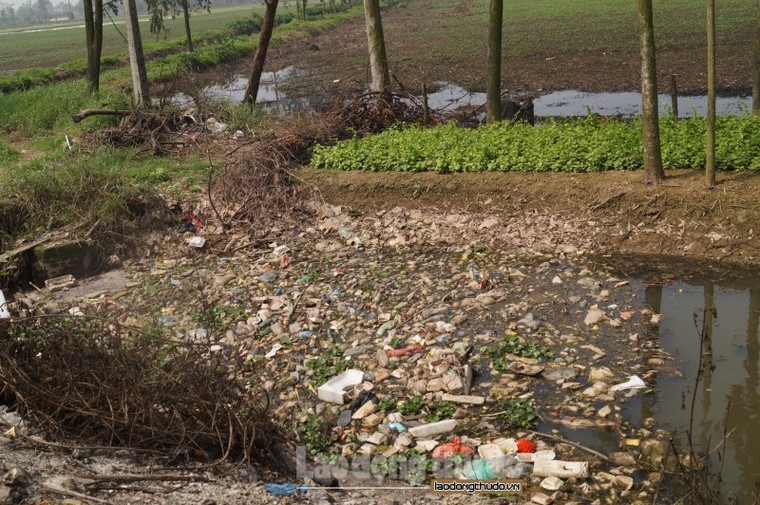 Bãi rác 'khổng lồ' bốc mùi cả ki lô mét trên đường liên thôn ảnh 7