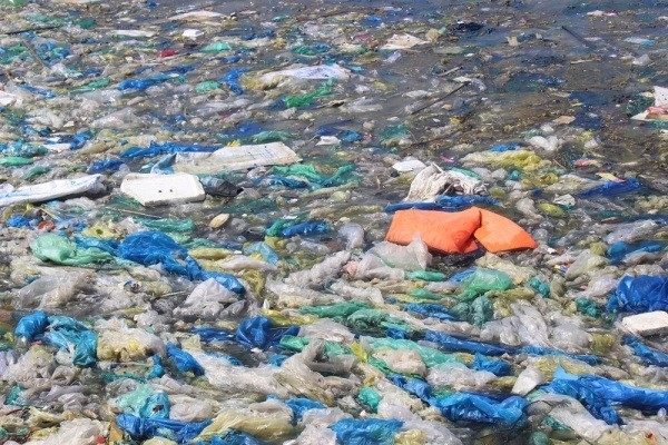 Khánh Hòa: Đảo Bình Ba bị 'ngộ độc' nặng bởi rác thải ảnh 1