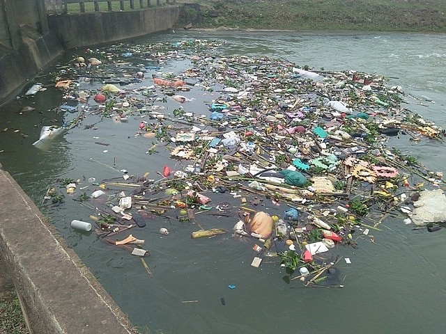 Sớm chấm dứt tình trạng xả rác thải, xác động vật đổ xuống dòng sông Đào ảnh 1