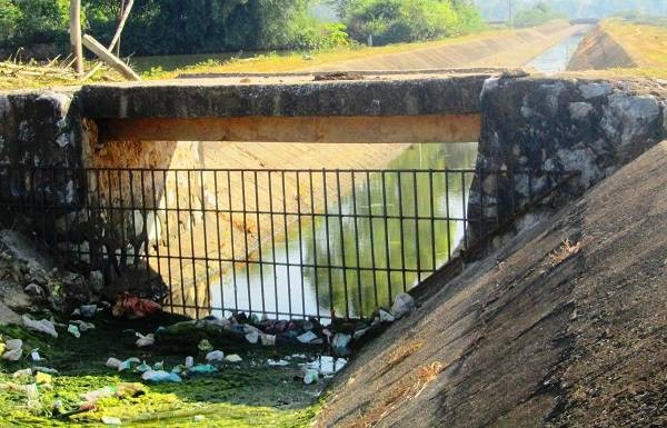 Điện Biên: Cần giải pháp ngăn chặn ô nhiễm từ kênh thủy nông Nậm Rốm ảnh 3