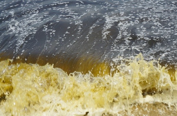 Nước biển Đà Nẵng đổi màu bất thường, có mùi hôi ảnh 1