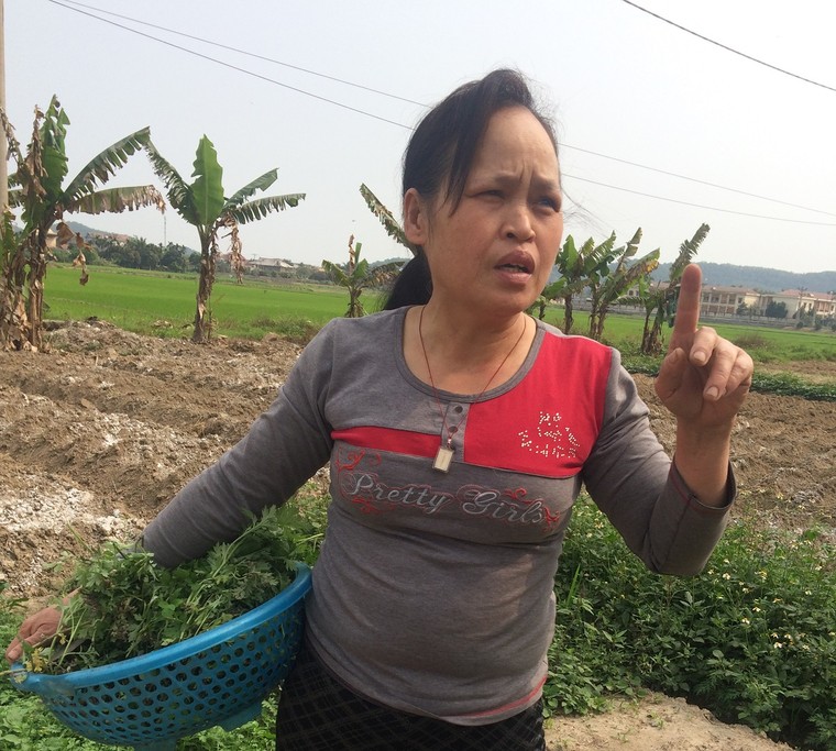 Hải Dương: Nhà máy thép Hòa Phát xả thải, người dân kêu cứu ảnh 3