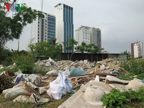 Hàng ngàn lô đất trống ở Đà Nẵng tiềm ẩn nguy cơ dịch bệnh ảnh 3