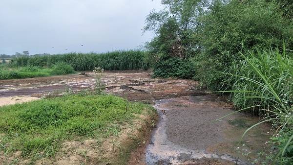 Thanh Hóa: Kinh hoàng xưởng sản xuất tinh bột dong và sắn xả thải ra sông Chu ảnh 3