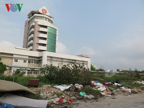 Hàng ngàn lô đất trống ở Đà Nẵng tiềm ẩn nguy cơ dịch bệnh ảnh 4