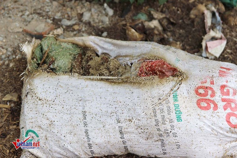 Xương lợn, xách bò ngập đường, giòi bọ lúc nhúc ảnh 9