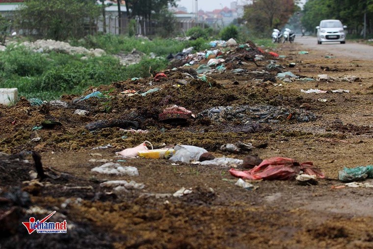 Xương lợn, xách bò ngập đường, giòi bọ lúc nhúc ảnh 10