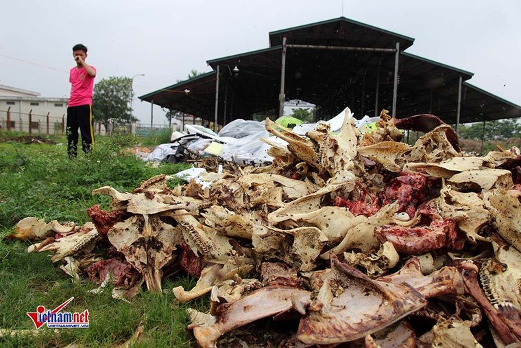 Xương lợn, xách bò ngập đường, giòi bọ lúc nhúc ảnh 13