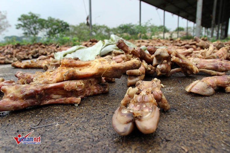 Xương lợn, xách bò ngập đường, giòi bọ lúc nhúc ảnh 14