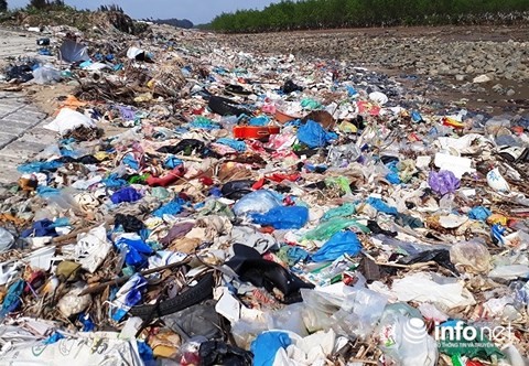 Thanh Hóa: Rác thải bủa vây rừng phòng hộ ven biển ảnh 4