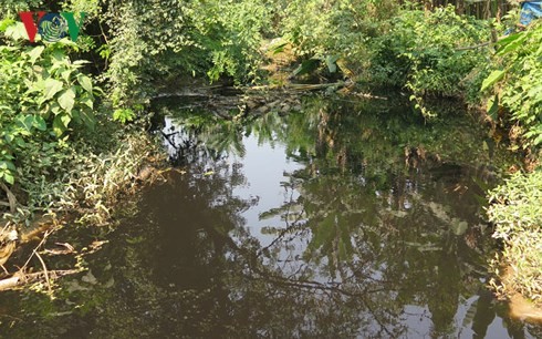 Dân Đà Nẵng khốn khổ vì nước rỉ từ bãi rác Khánh Sơn ảnh 2