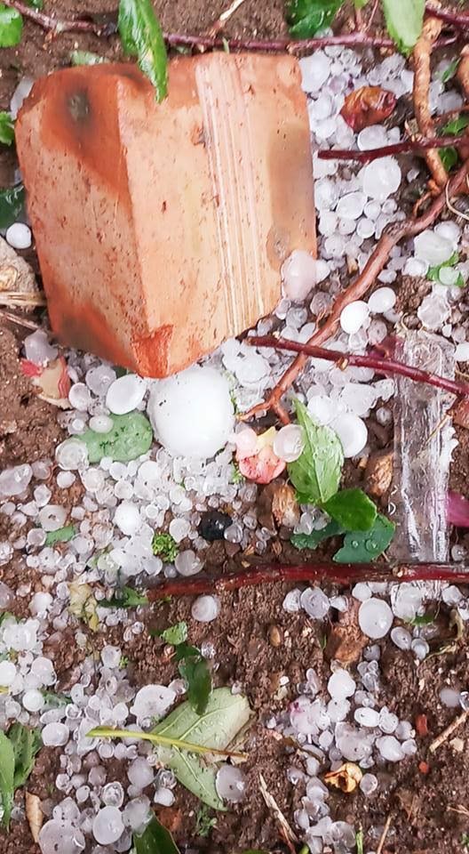 Sơn La: Mưa đá trắng xóa ở Mộc Châu ảnh 4