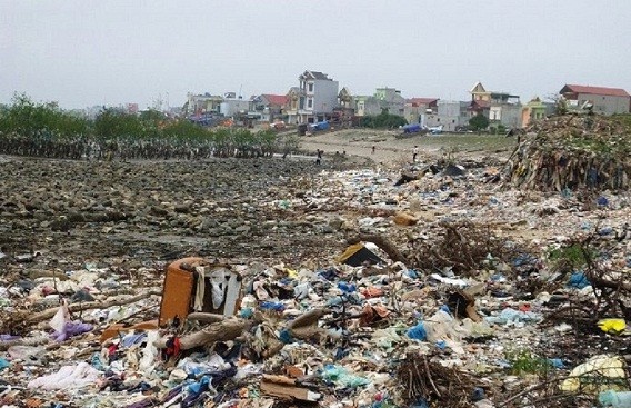 Thanh Hoá: Rừng phòng hộ bị rác thải bủa vây, dân 'kêu cứu' ảnh 1