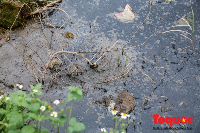 Hà Nội: Kinh hoàng vịt ăn rác, bơi trên nước thải trong công trường xây dựng cầu Đền Lừ, Hoàng Mai ảnh 4