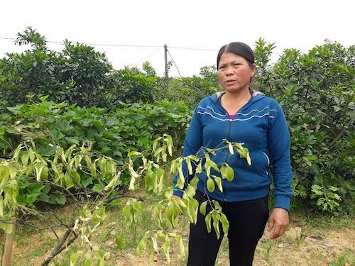 Hà Tĩnh: Phát hiện dầu diesel rò rỉ chảy theo mạch nước ngầm ảnh 3