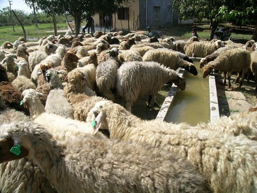 Hạn hán gay gắt, gần 10 nghìn người có nguy cơ 'đứt' nước sinh hoạt ảnh 5